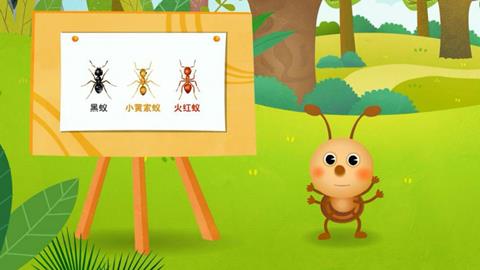认识小蚂蚁
