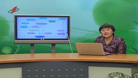 学前教育发展最新趋势