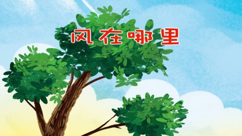 风在哪里