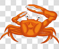 螃蟹