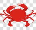 螃蟹